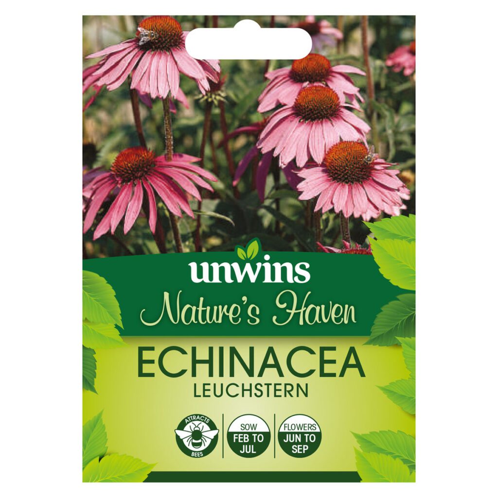 Unwins Echinacea Purpurea Leuchstern Seeds 5051618013666 2